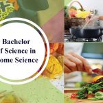 b-sc-home-science