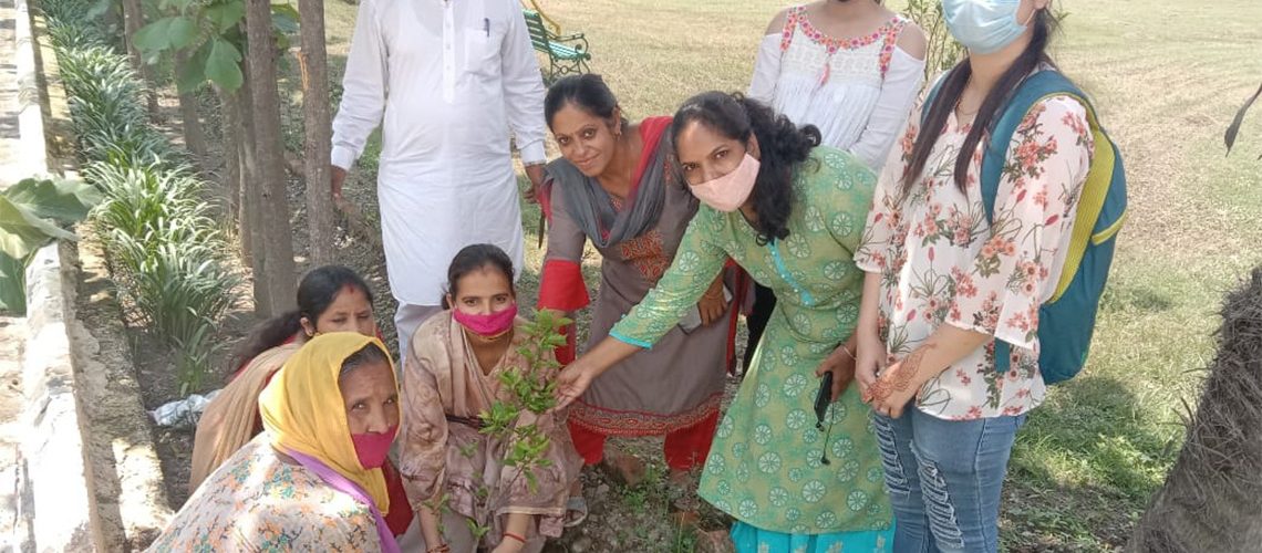 harela-festival-celebrated-at-grd-girls-degree-college